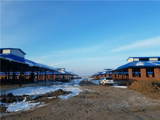 维多利亚老品牌vic(集团)官方网站