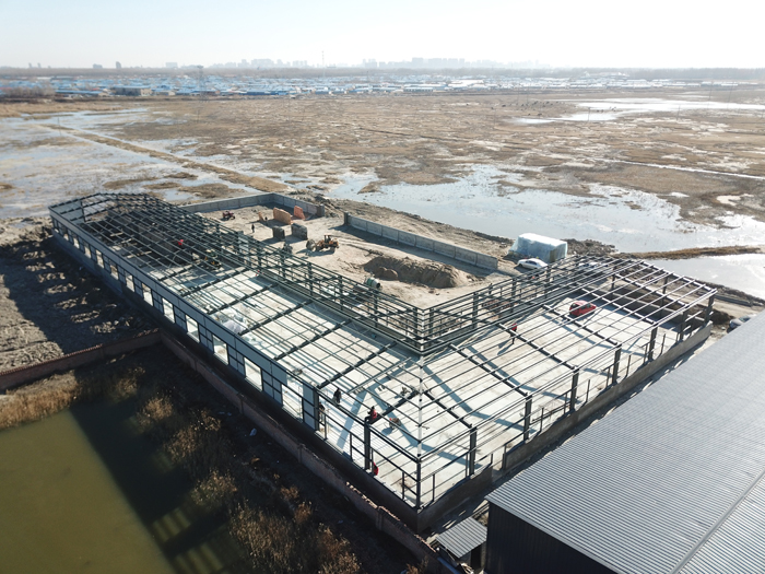 维多利亚老品牌vic(集团)官方网站