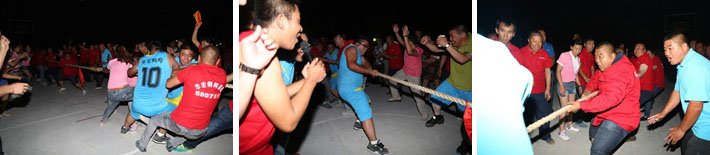 维多利亚老品牌vic(集团)官方网站