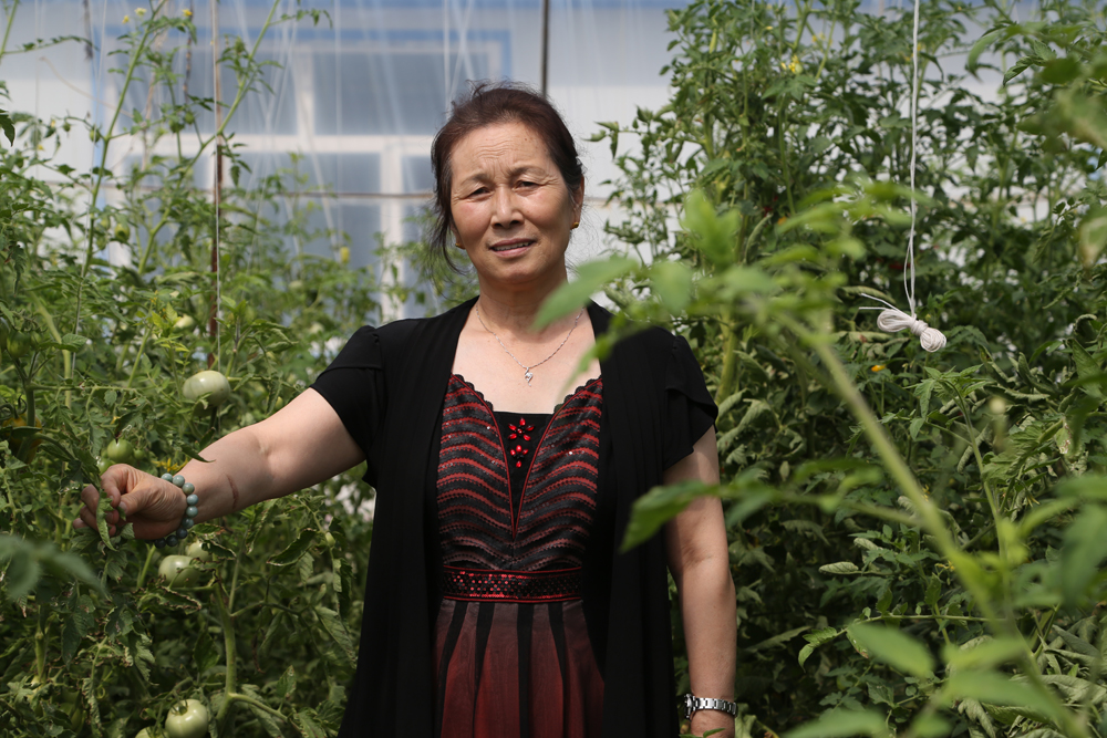 维多利亚老品牌vic(集团)官方网站