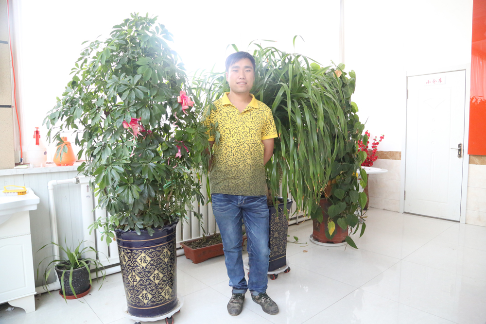 维多利亚老品牌vic(集团)官方网站