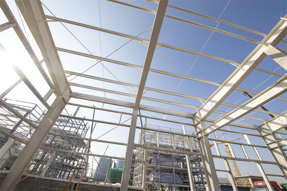 维多利亚老品牌vic(集团)官方网站